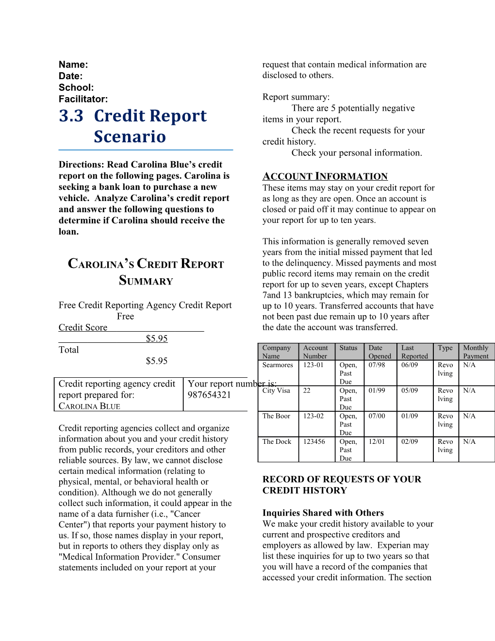 Carolina S Credit Report Summary