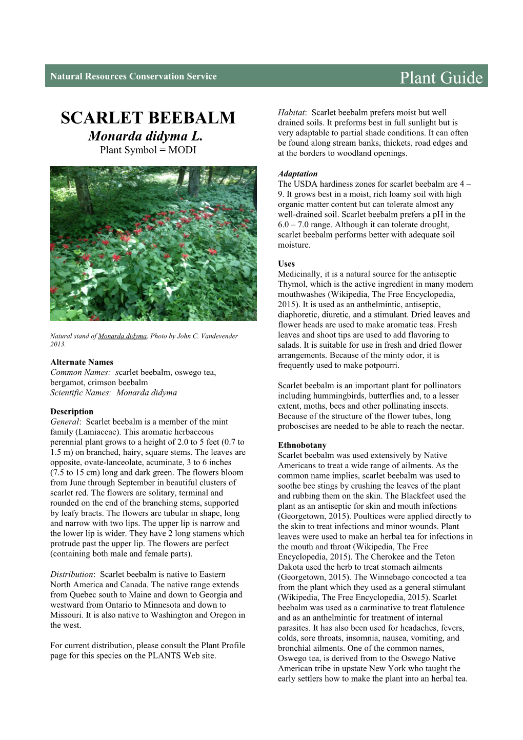Scarlet Beebalm (Monarda Didyma) Plant Guide