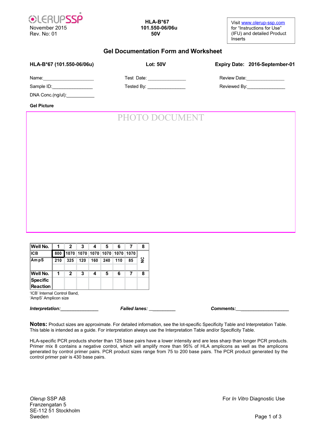 Gel Documentation Form and Worksheet