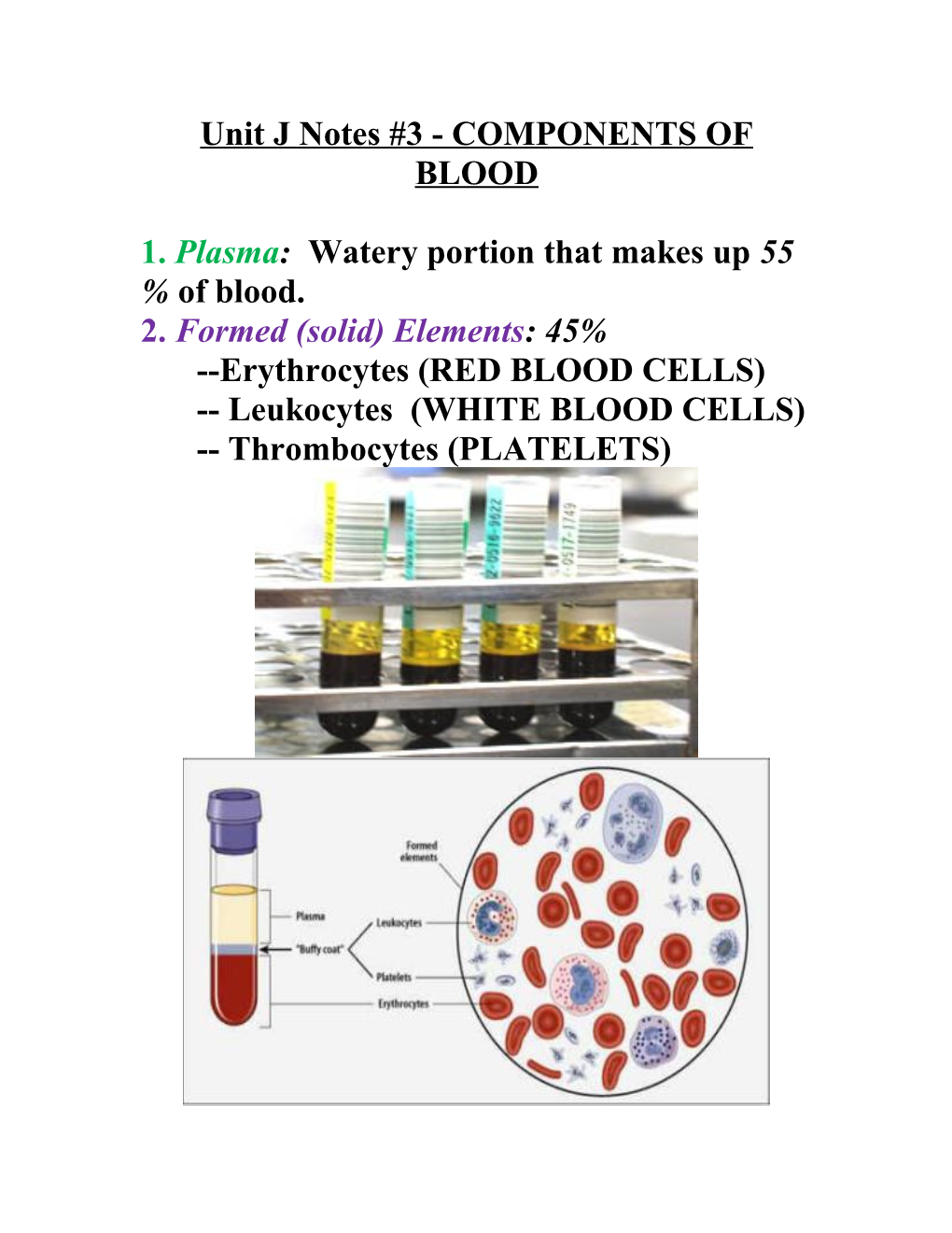 Unit J Notes #3 - COMPONENTS of BLOOD