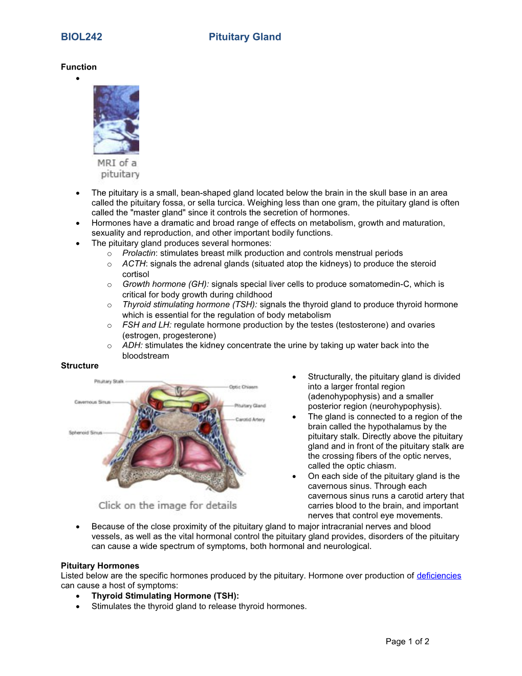 BIOL242 Pituitary Gland