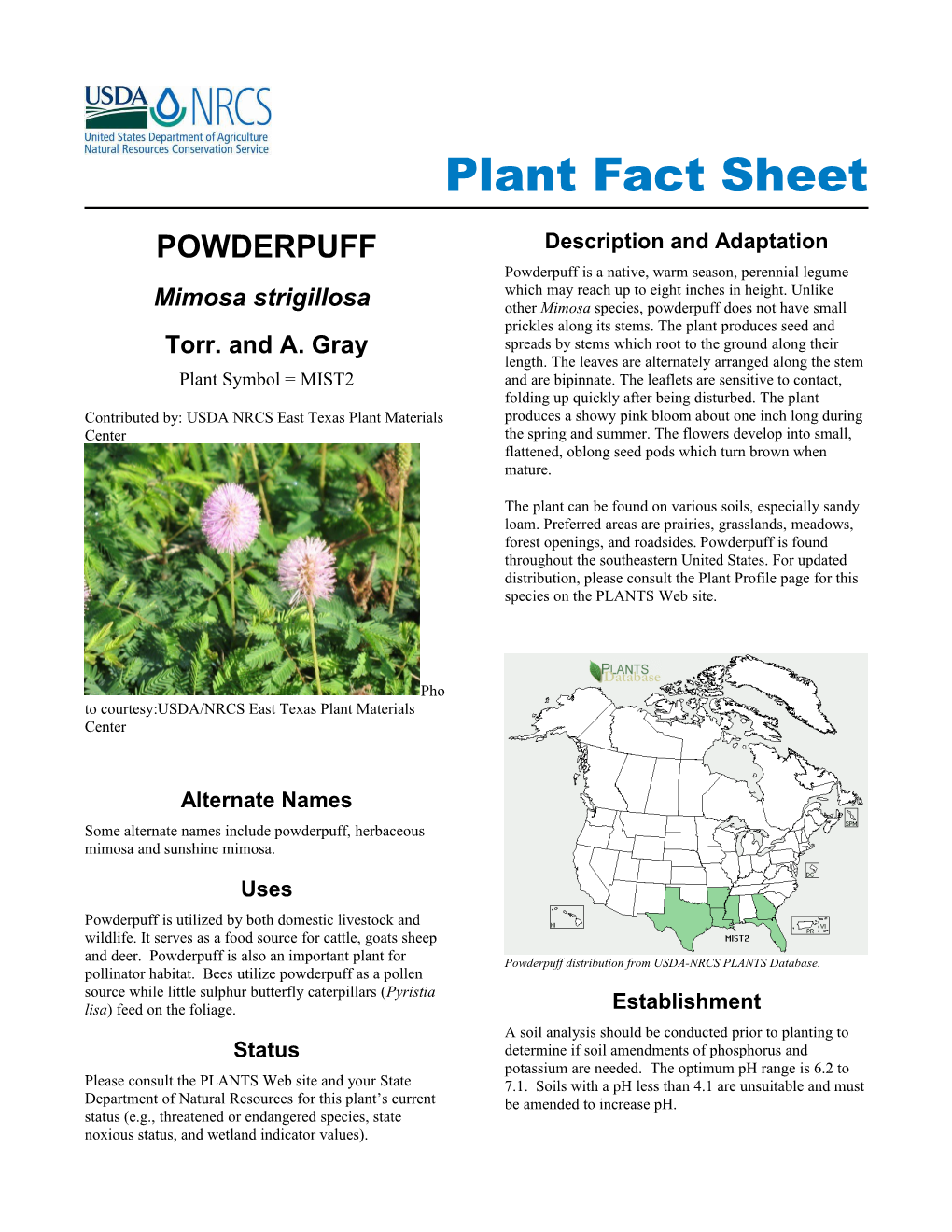 Powderpuff, Mimosa Strigillosa, Plant Fact Sheet