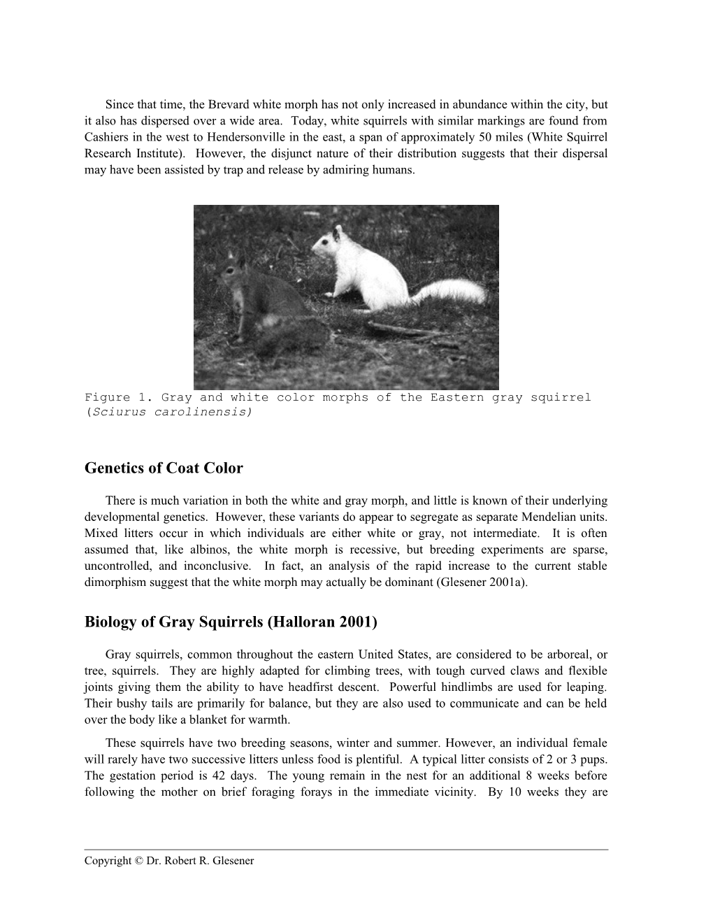 To Monitor the Distribution and Abundance of Brevard S Resident White Squirrel Population