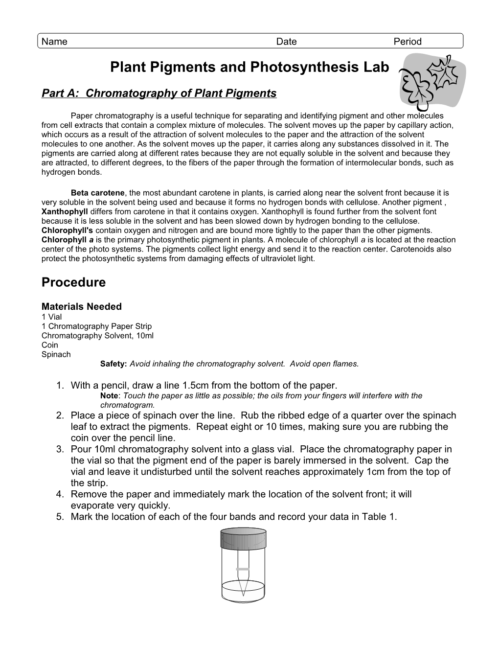 Plant Pigments and Photosynthesis Lab