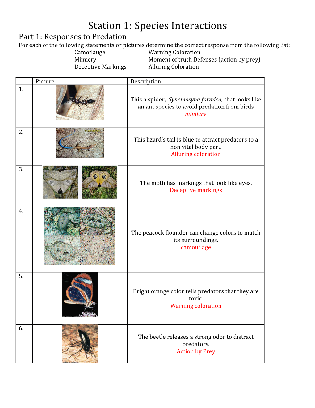 Station 1: Species Interactions