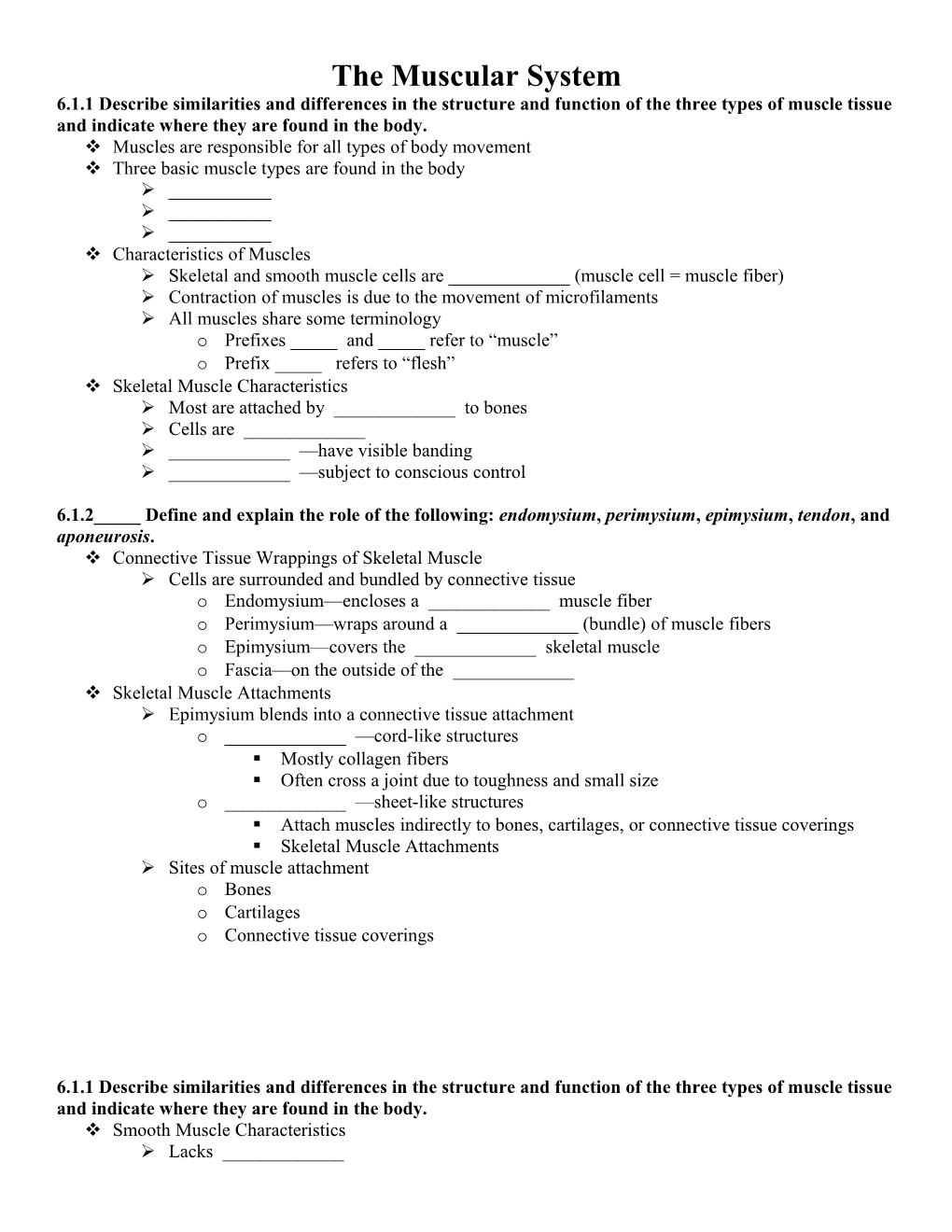 The Muscular System s1