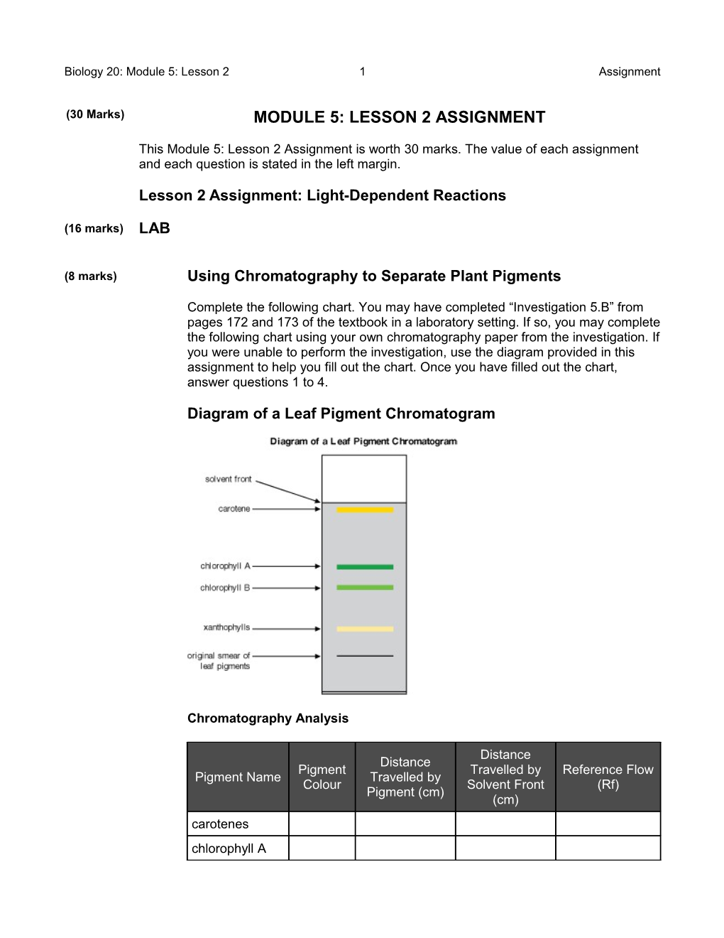 Lesson 2Assignment: Light-Dependent Reactions