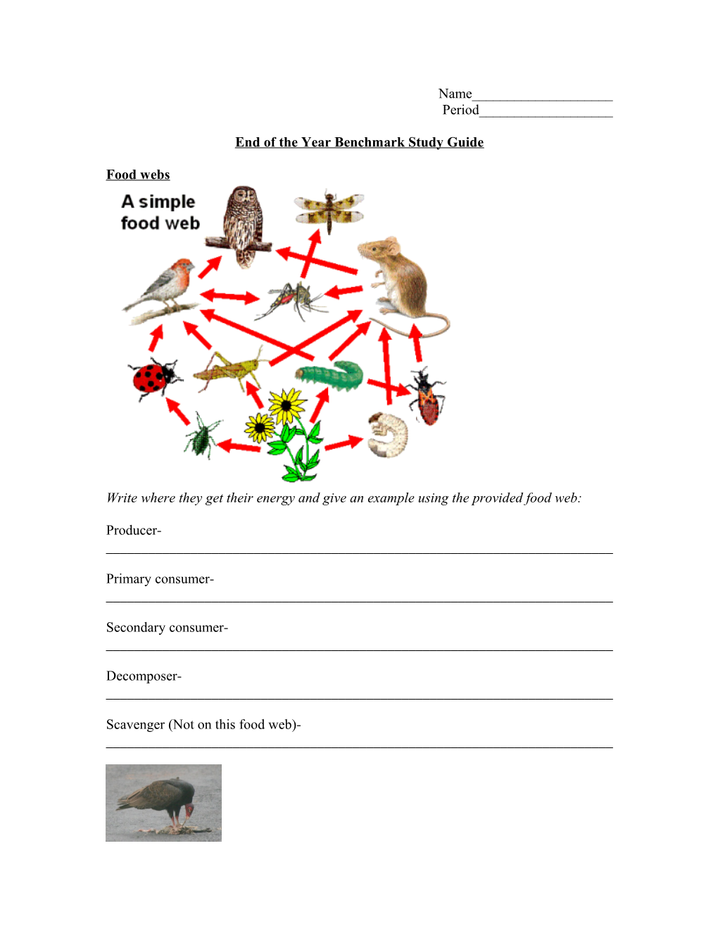 End of the Year Benchmark Study Guide