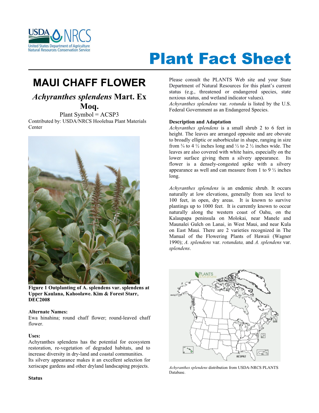 Ewa Hinahina (Achyranthes Splendens) Plant Fact Sheet