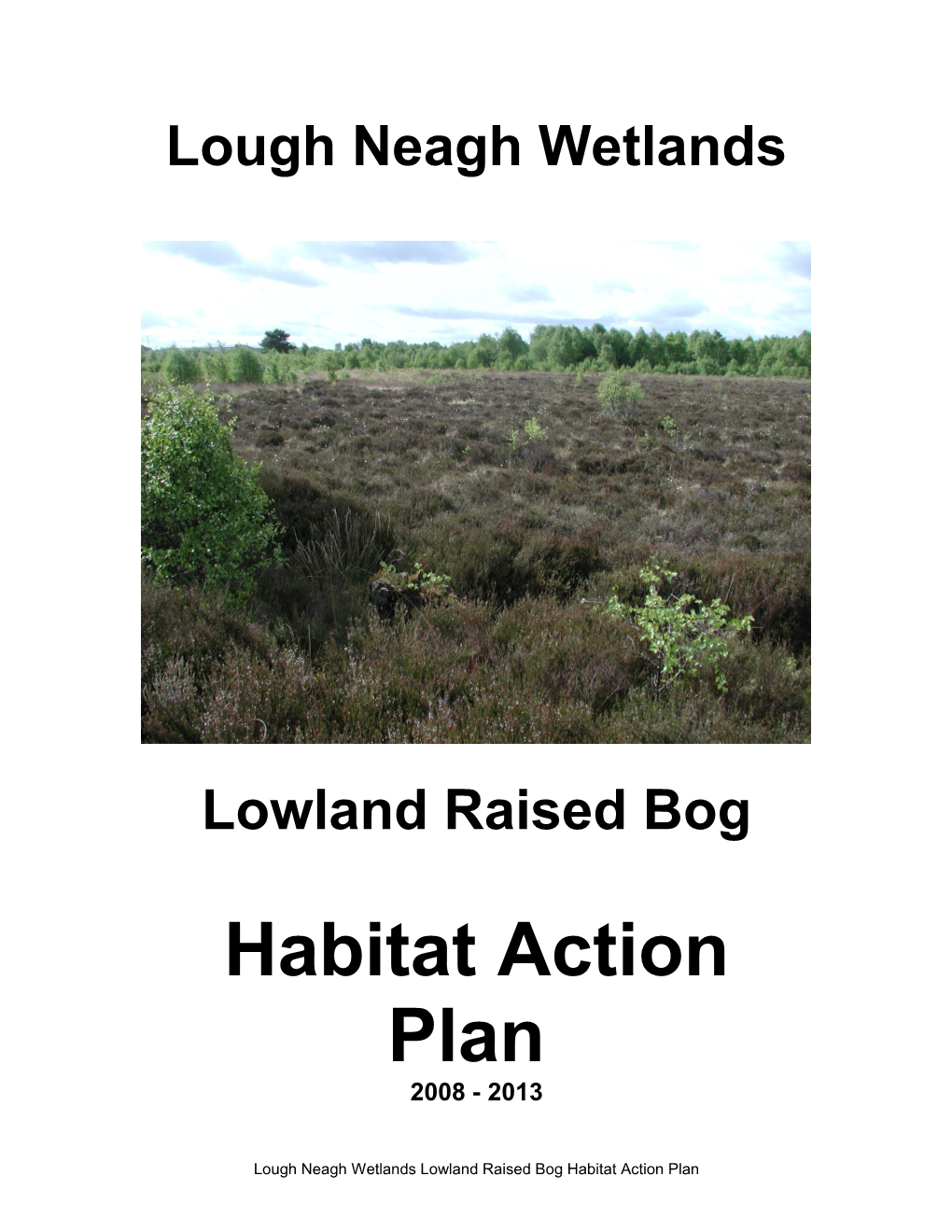 Lough Neagh Wetlands