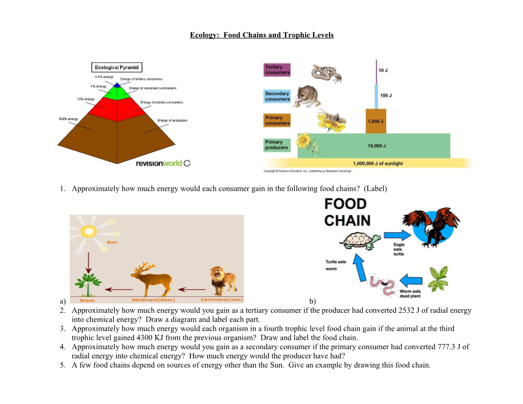 Ecology: Food Chains and Trophic Levels