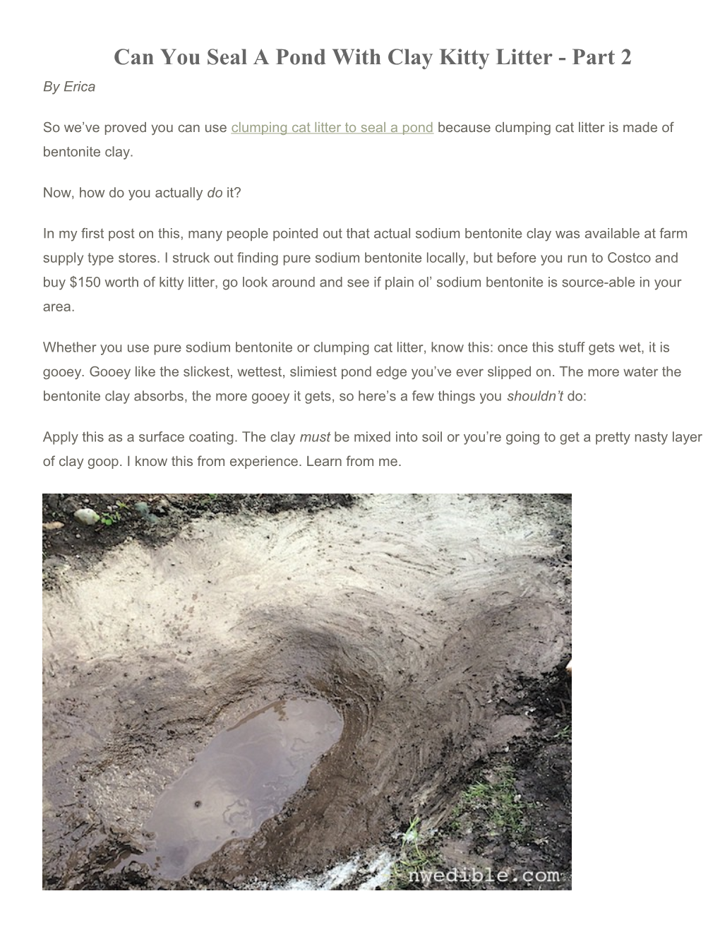 Can You Seal a Pond with Clay Kitty Litter - Part 2