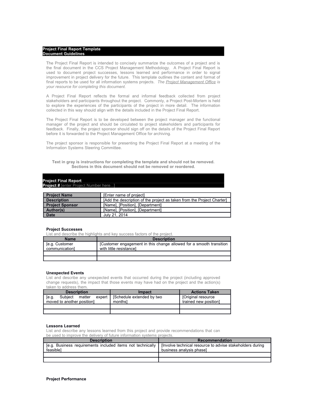 Project Final Report Template