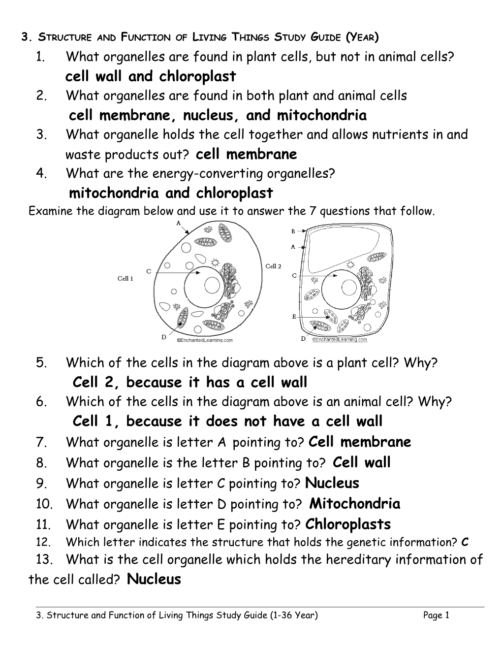Unit 3 Structure and Function Study Guide