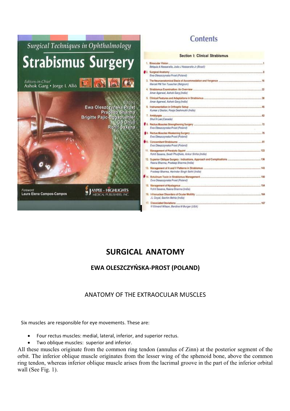 Surgical Anatomy s1