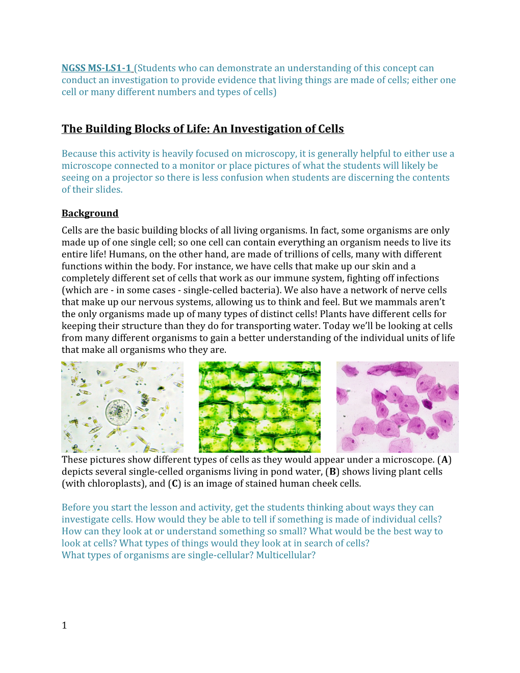 The Building Blocks of Life: an Investigation of Cells