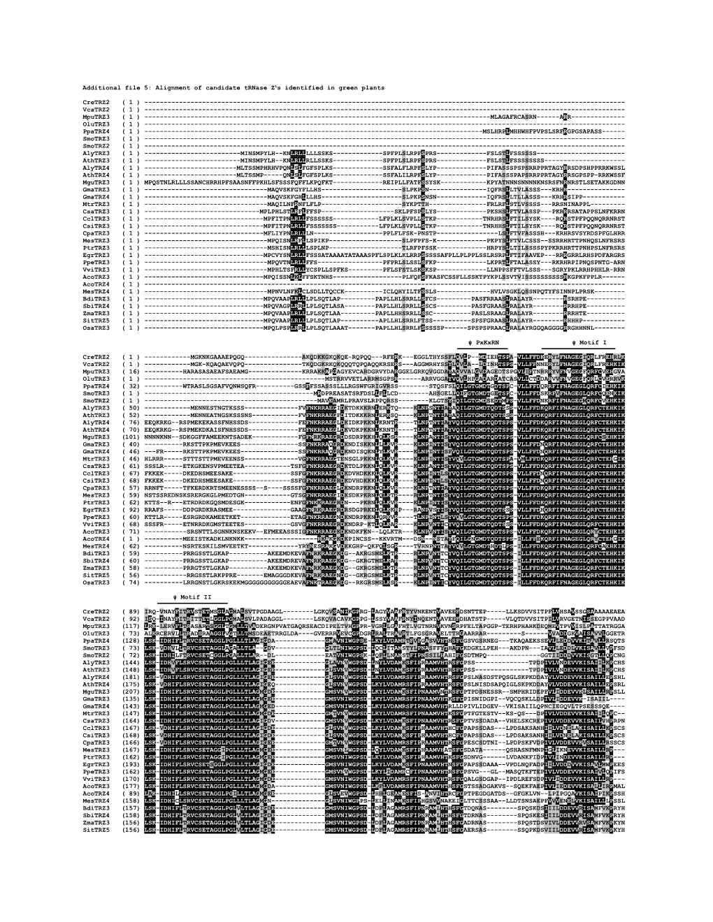 Additional File 5: Alignment of Candidate Trnase Zls Identified in Green Plants