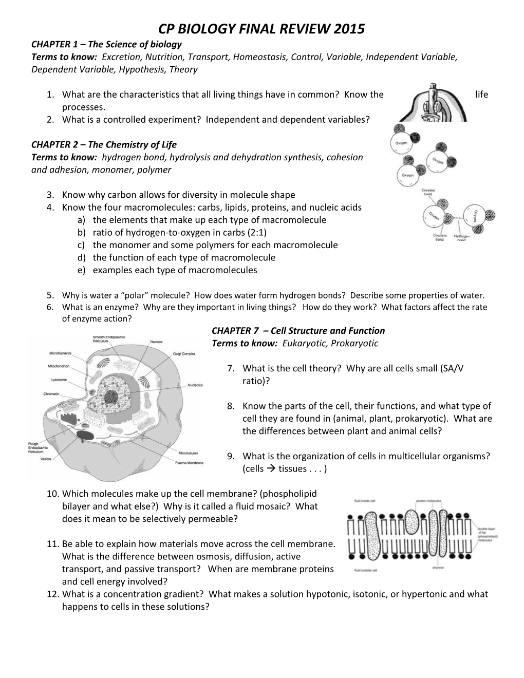 Terms to Know: Biology, Hypothesis, Variable, Control, Metabolism, Synthesis, Excretion