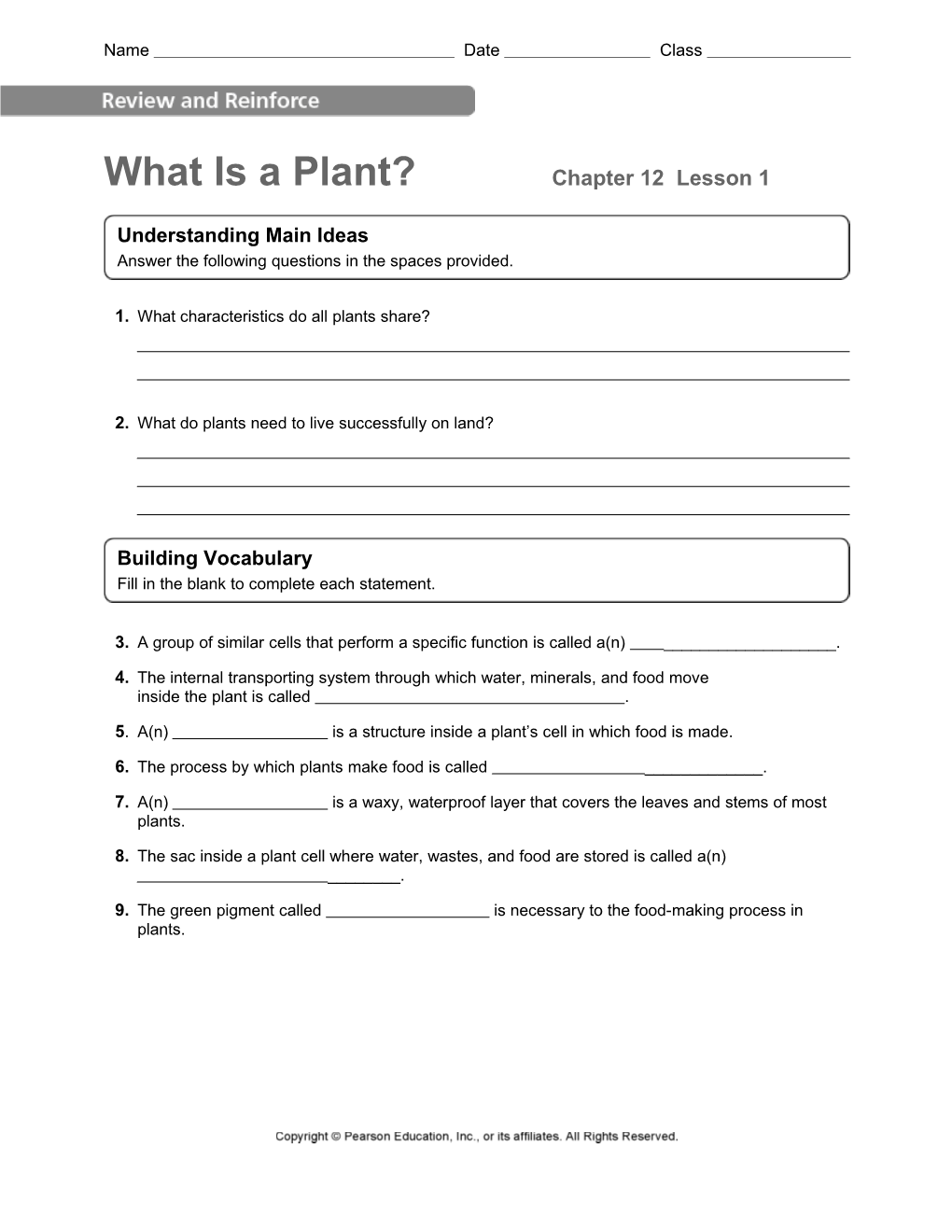 What Is a Plant?Chapter 12 Lesson 1