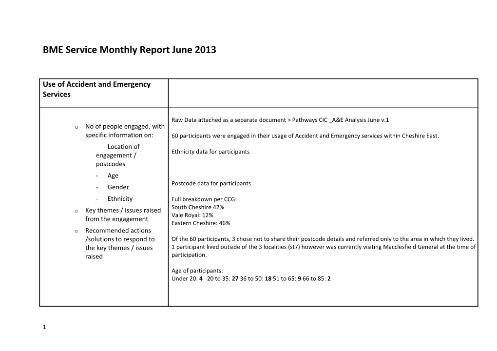 BME Service Monthly Report June 2013