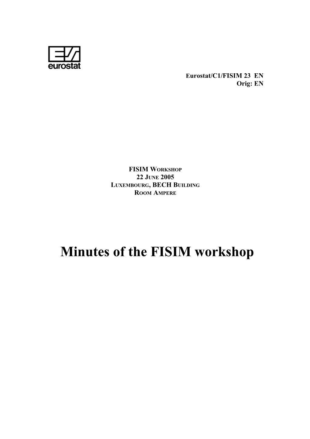 Minutes of the FISIM Workshop