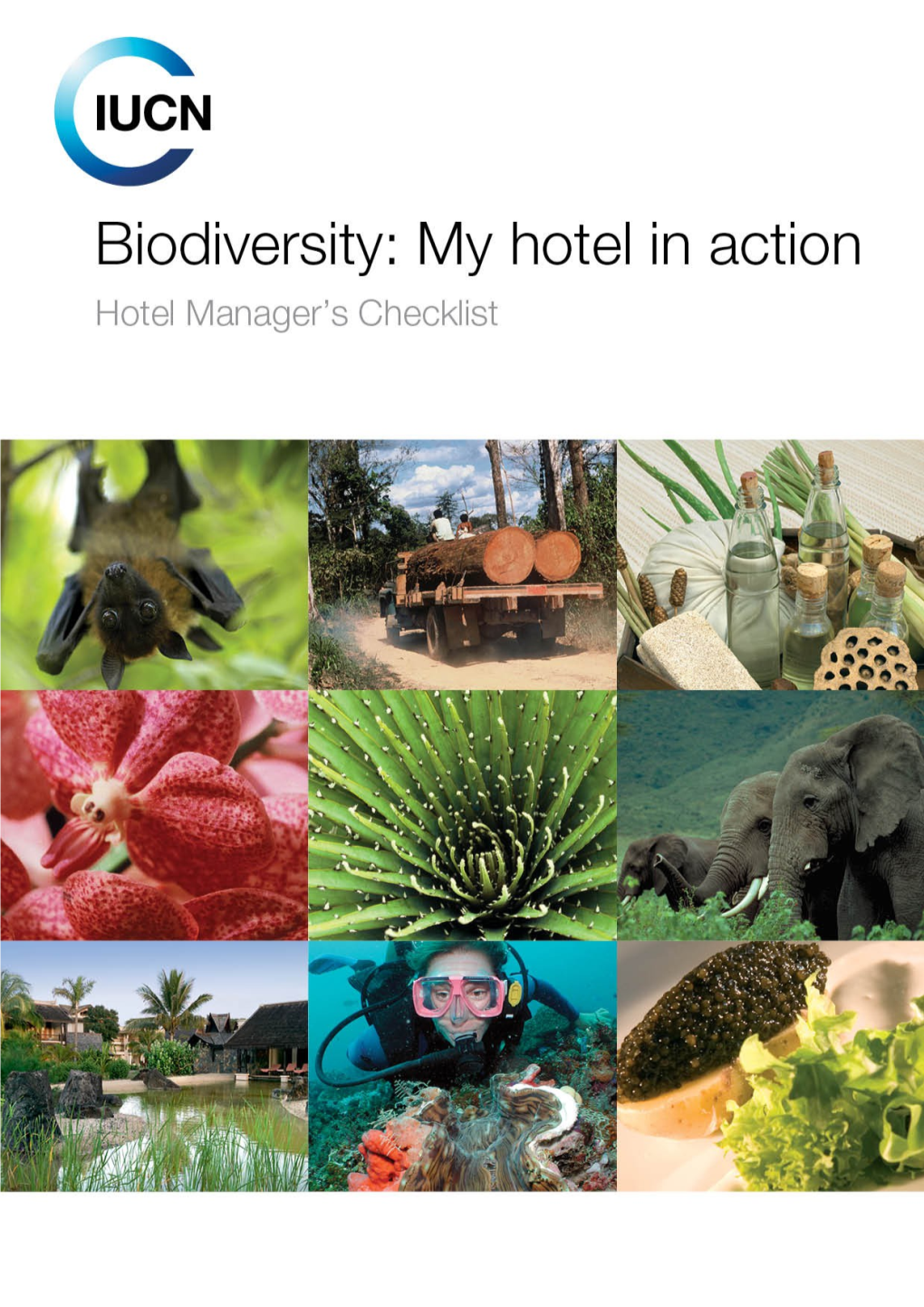 Biodiversity: My Hotel in Action