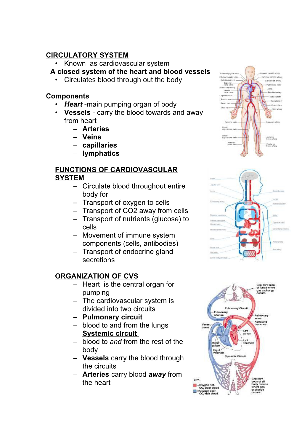 Over View of Circulatory System