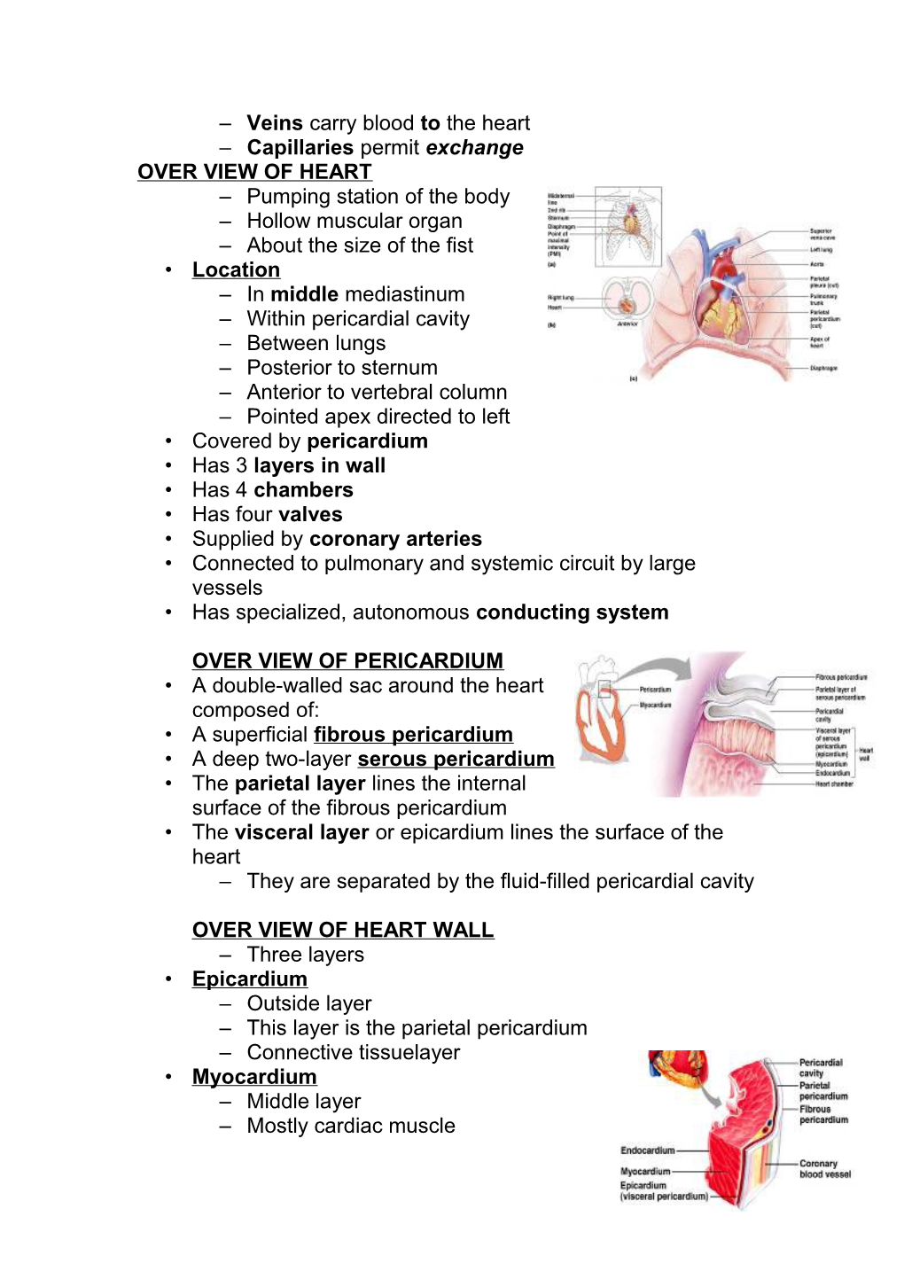 Over View of Circulatory System