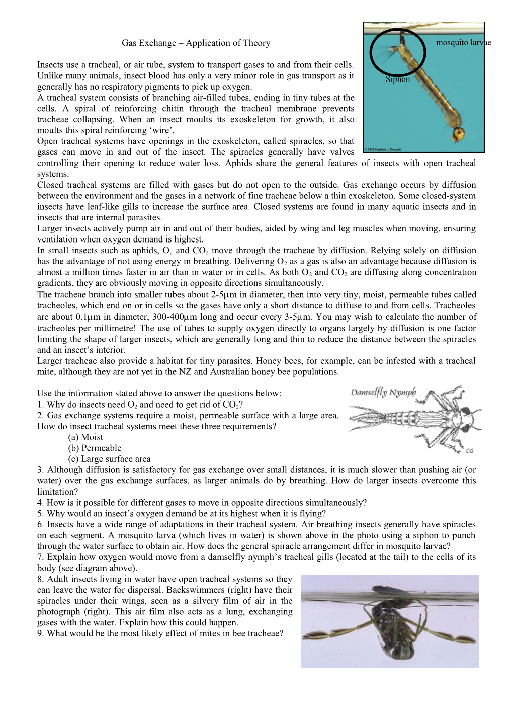 Gas Exchange Application of Theory