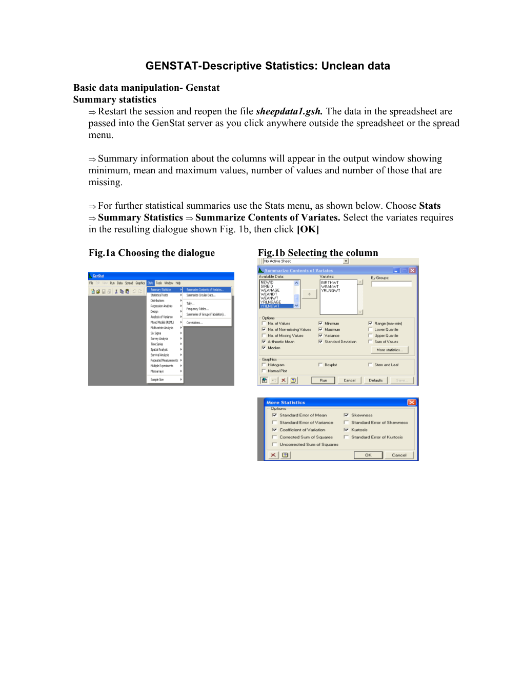 SAS-Descriptive Statistics: Unclean Data