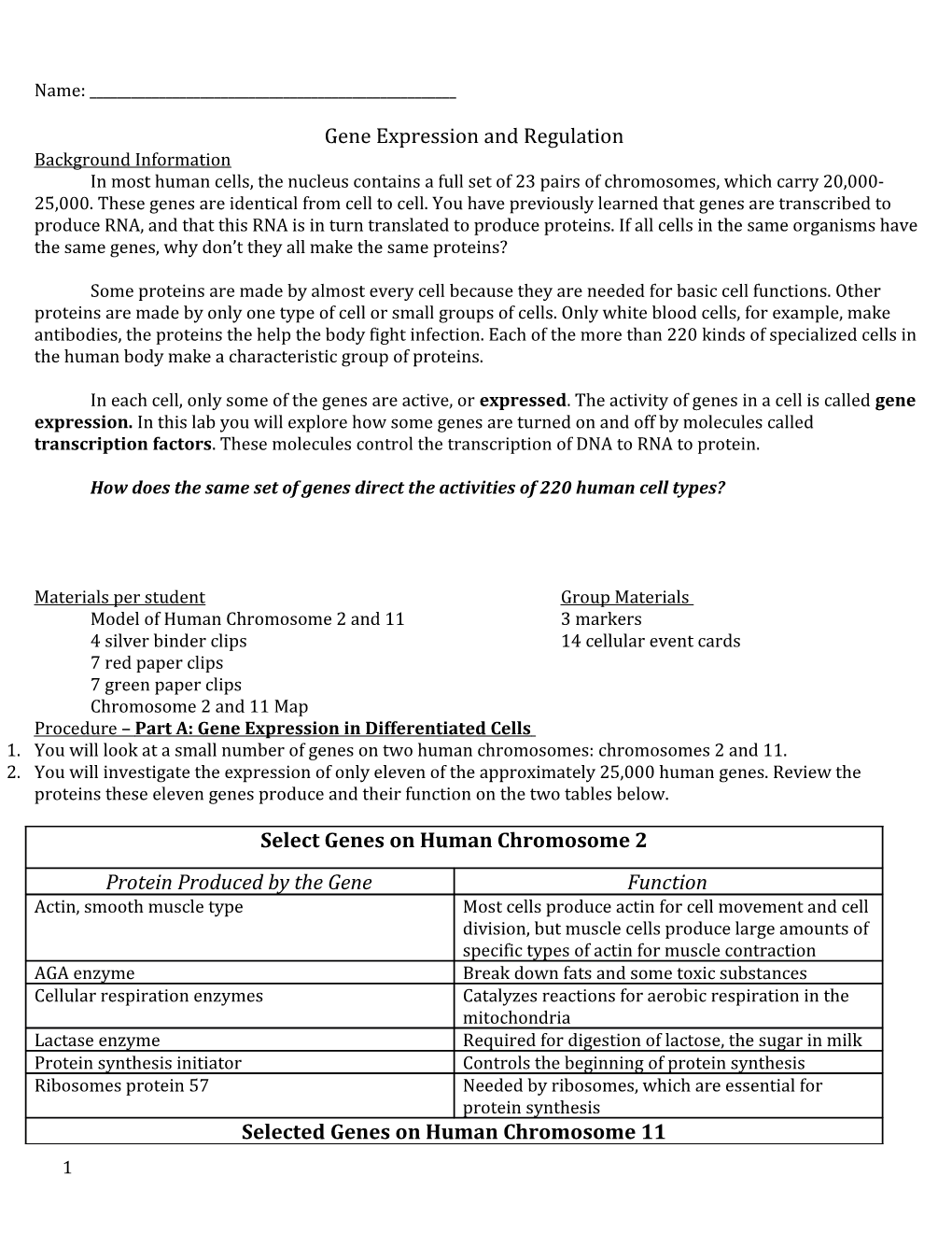 Q14 - Cell Dif Gene Reg