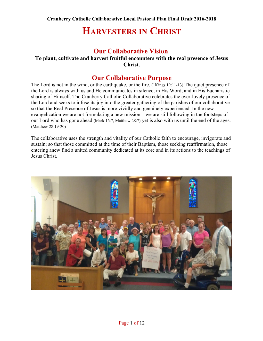 Cranberry Catholic Collaborative Local Pastoral Plan Final Draft 2016-2018