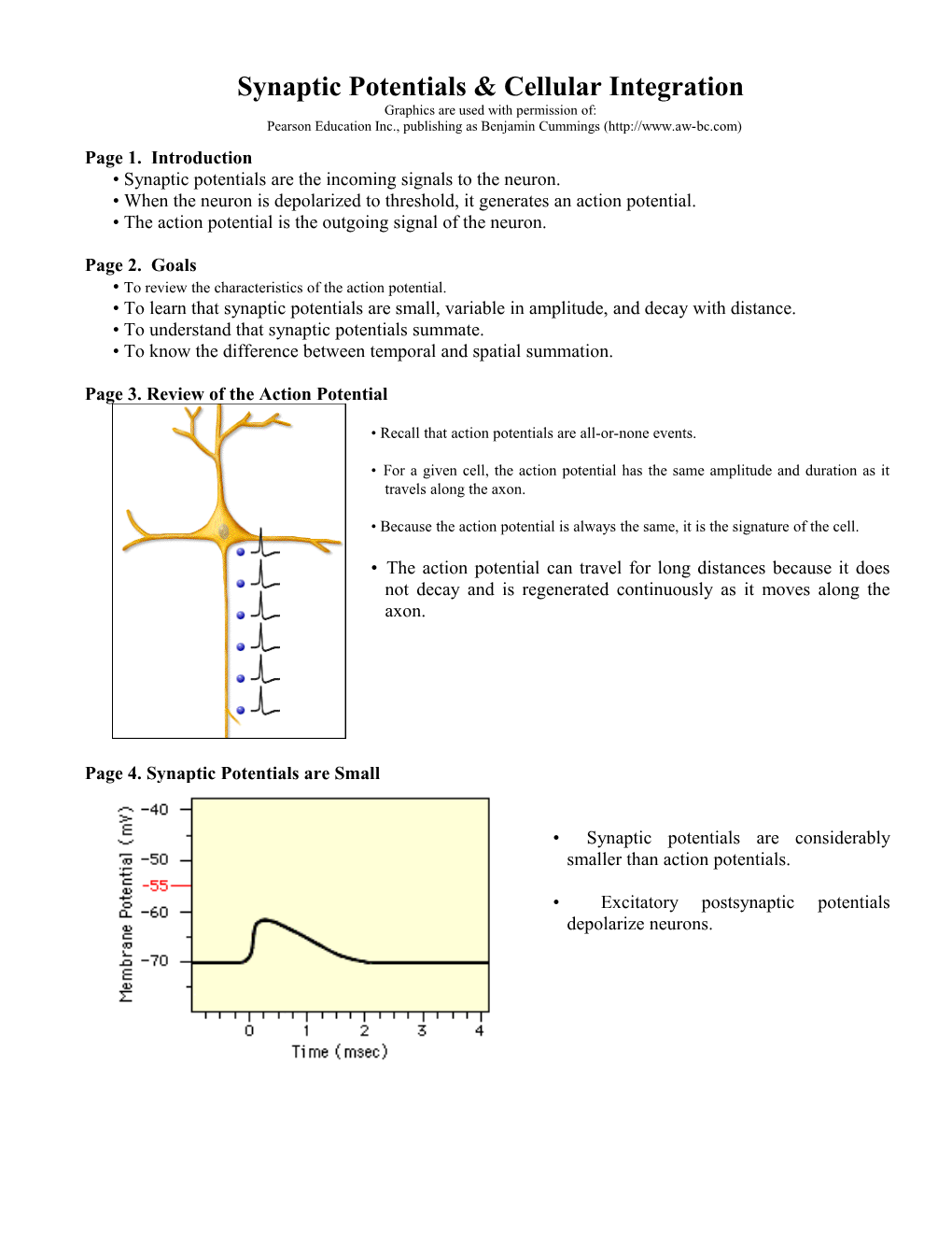 Synaptic Potentials & Cellular Integration