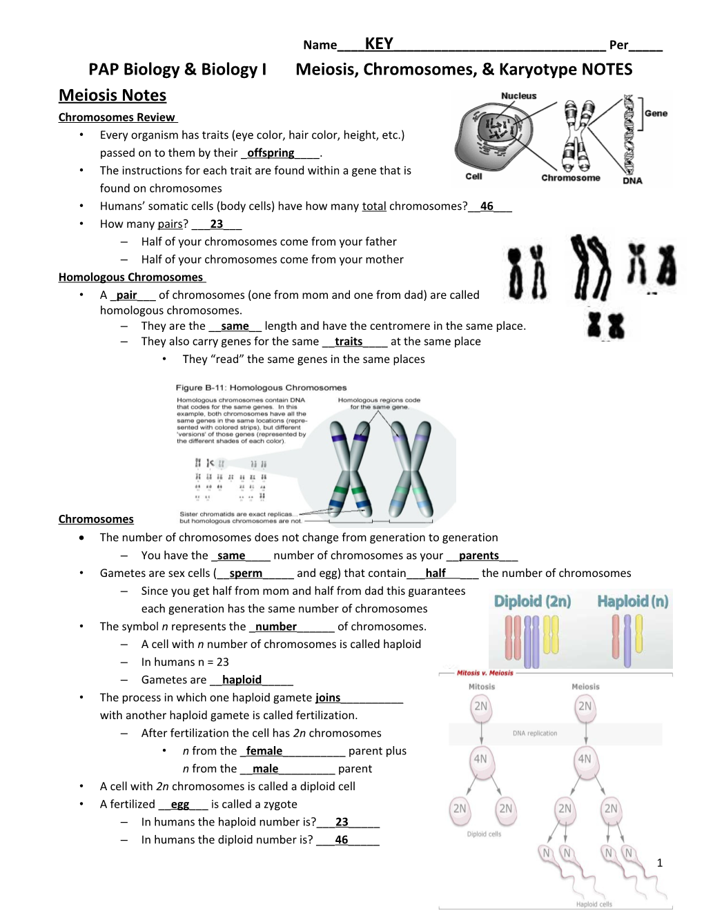 PAP Biology & Biology I Meiosis, Chromosomes, & Karyotype NOTES