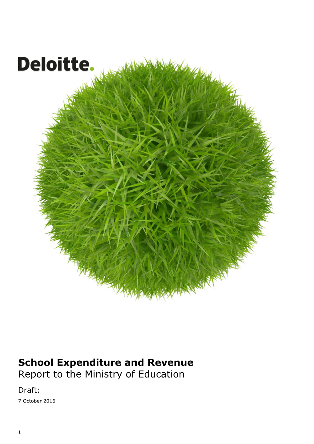 Deloitte Report on School Expenditure and Revenue