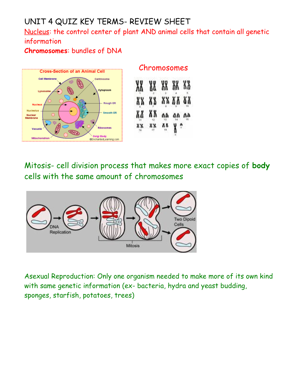 Unit 4 Quiz Key Terms- Review Sheet