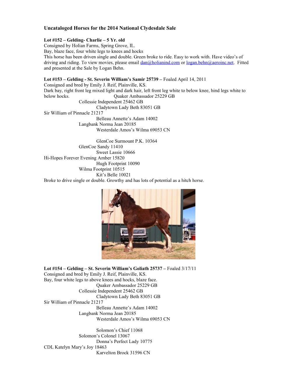 Uncataloged Horses for the 2014 National Clydesdale Sale