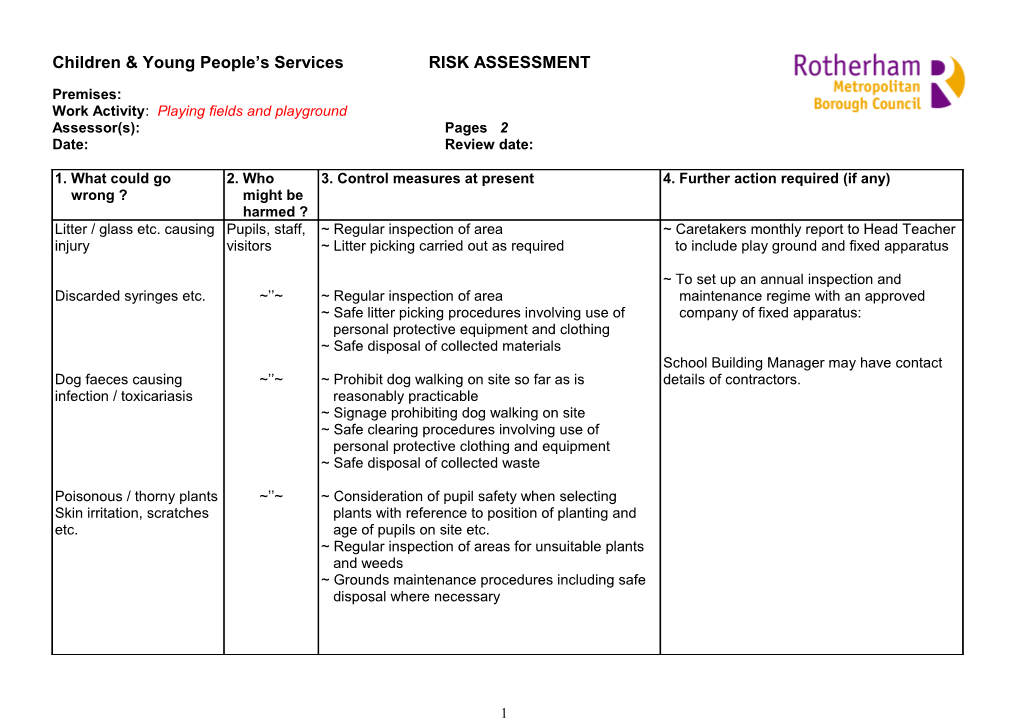 Playing Fields - Risk Assessment