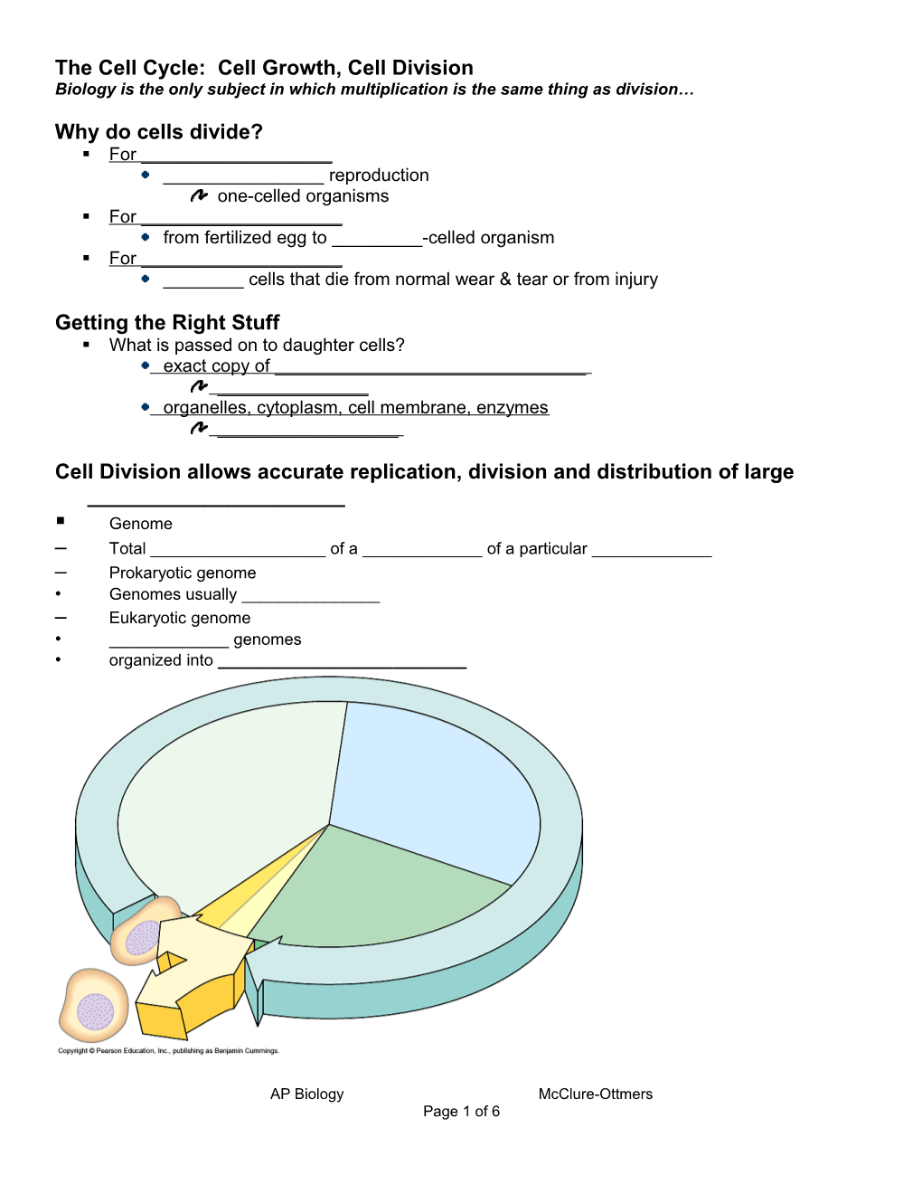 Cell Cycle and Mitosis