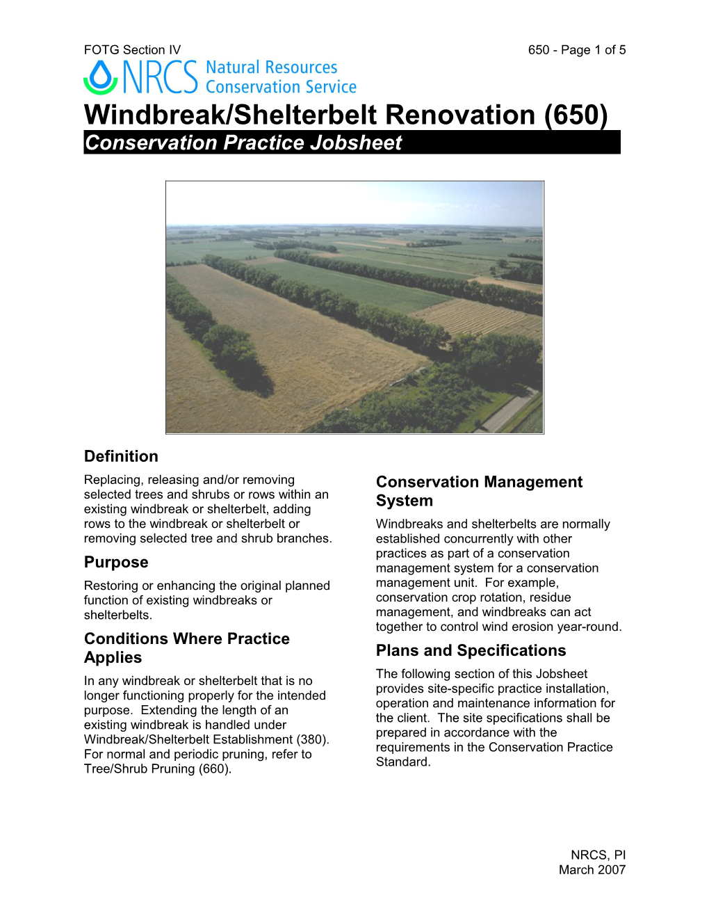 Windbreak/Shelterbelt Renovation