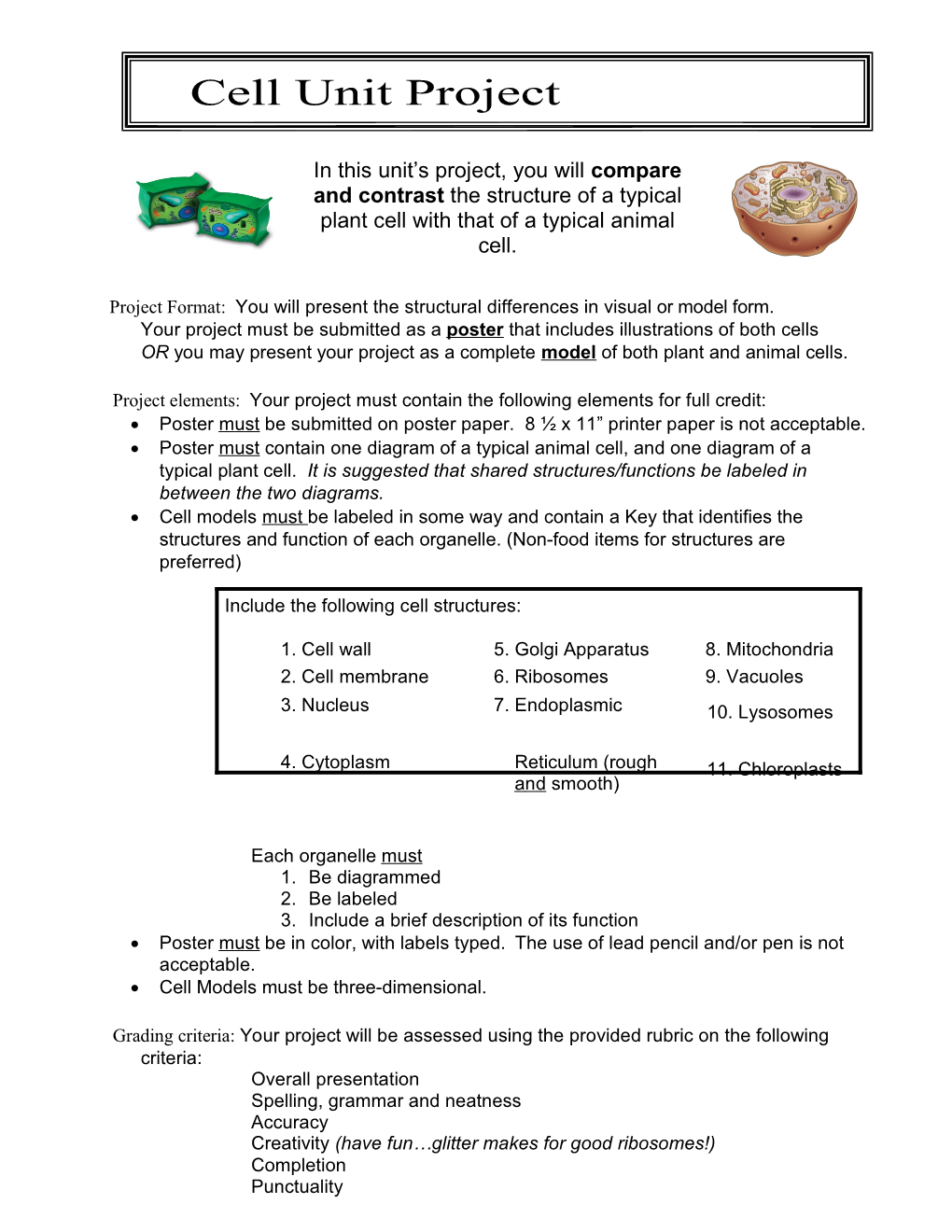 Project Format: You Willpresentthestructuraldifferencesinvisual Or Model Form