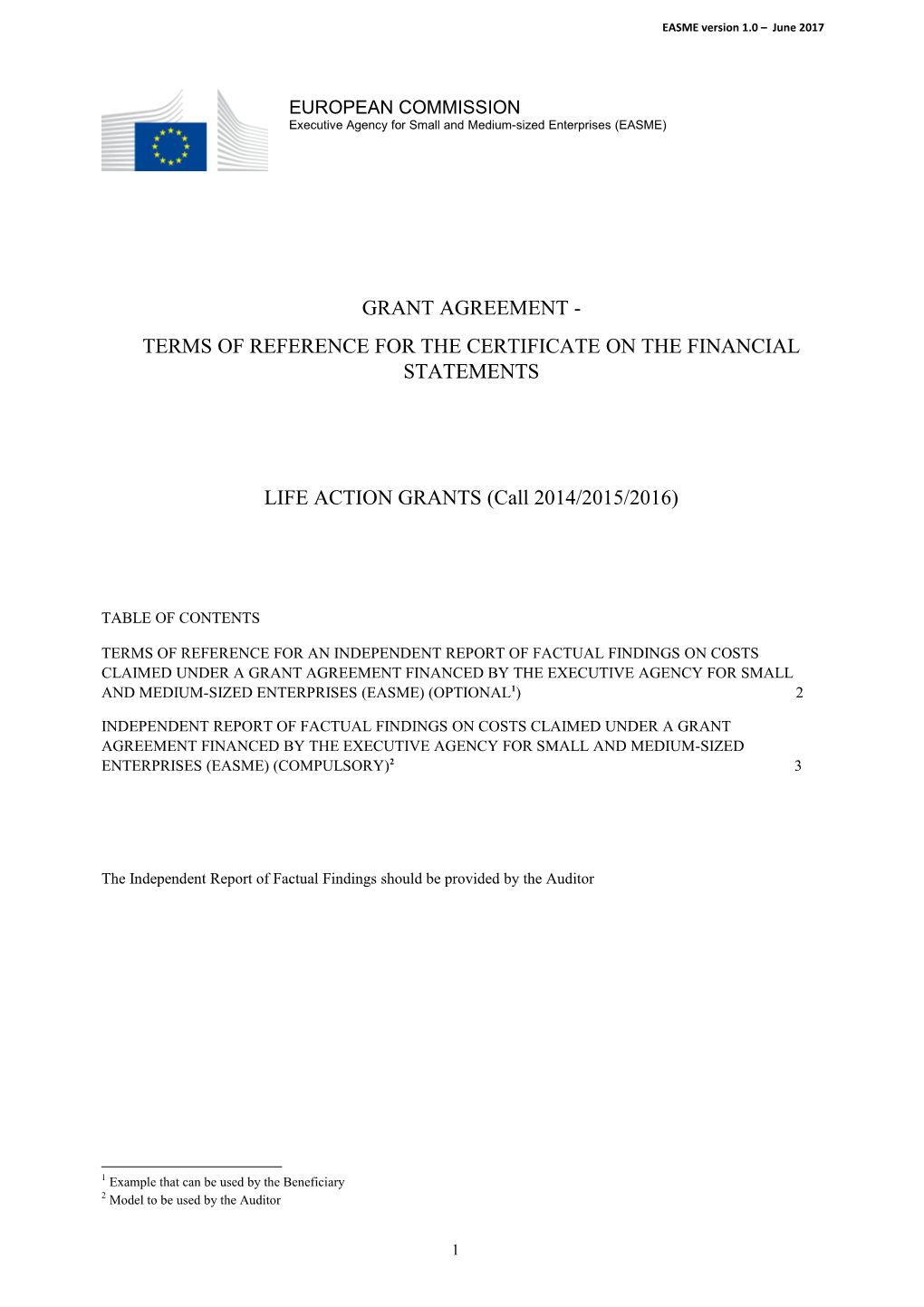 Terms of Reference for the Certificate on the Financial Statements