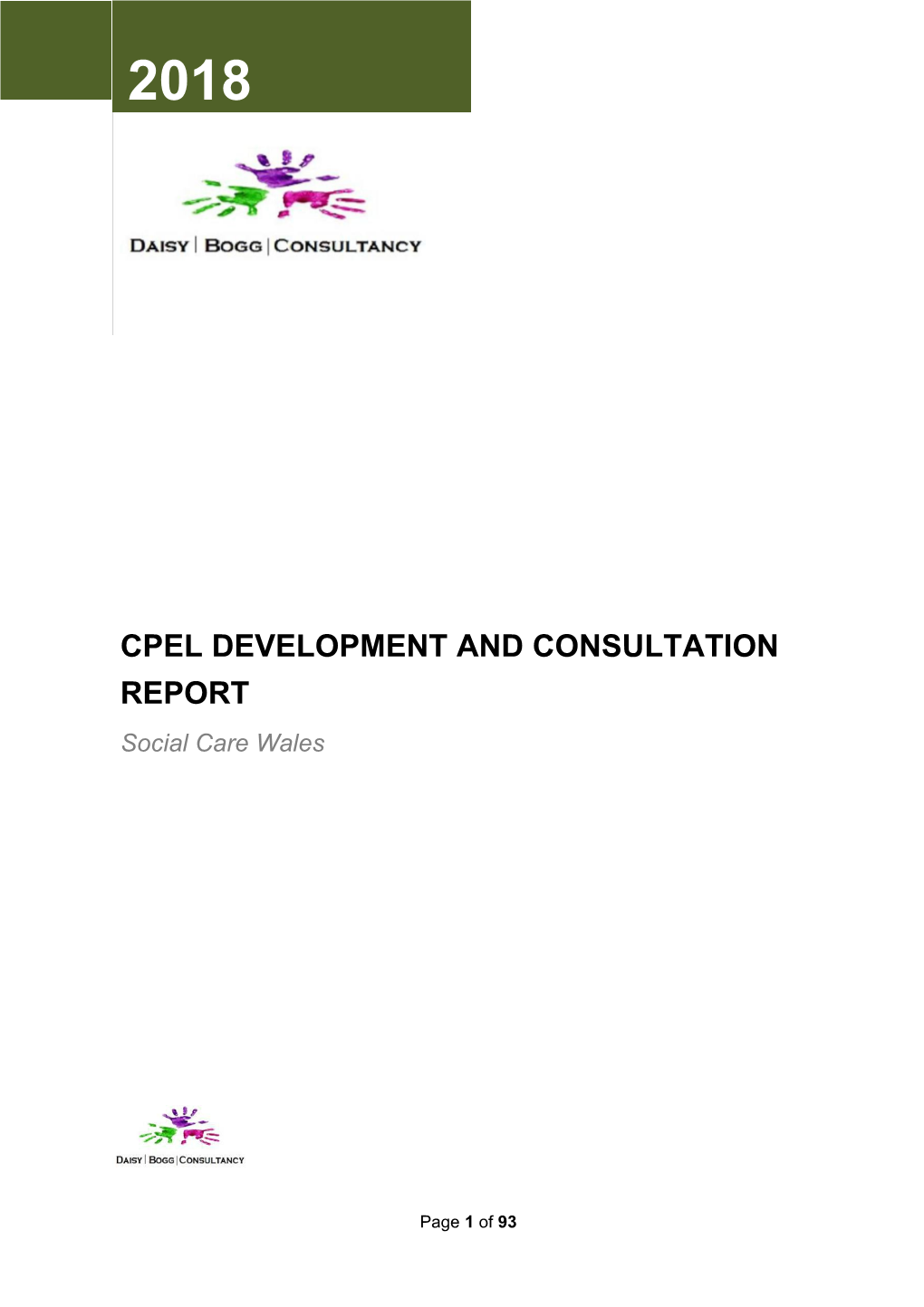 Cpel Development and Consultation Report