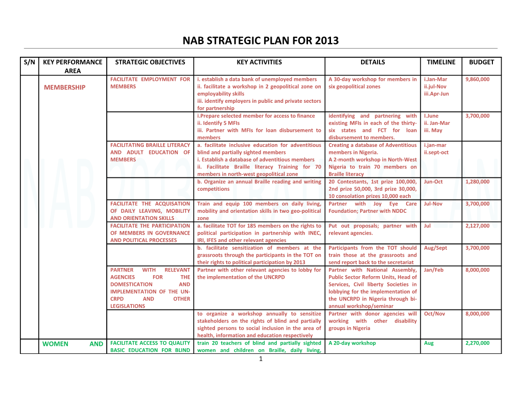 Nab Strategic Plan for 2013