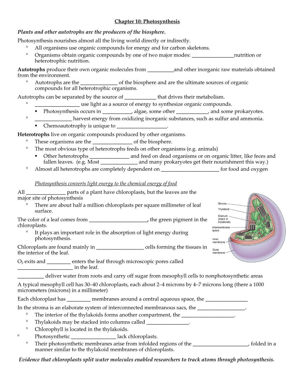 Plants and Other Autotrophs Are the Producers of the Biosphere s1