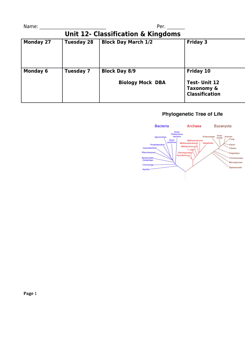 Unit 12- Classification & Kingdoms