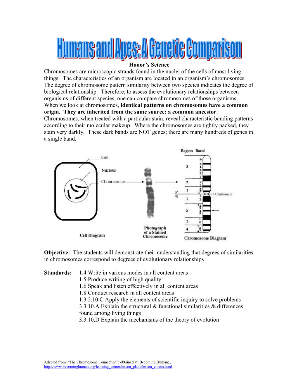 When We Look at Chromosomes, Identical Chromosomes Have a Common Origin