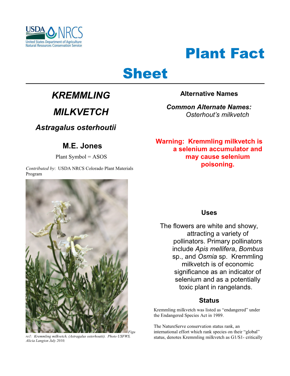 Kremmling Milkvetch, (Astragalus Osterhoutii), Plant Fact Sheet