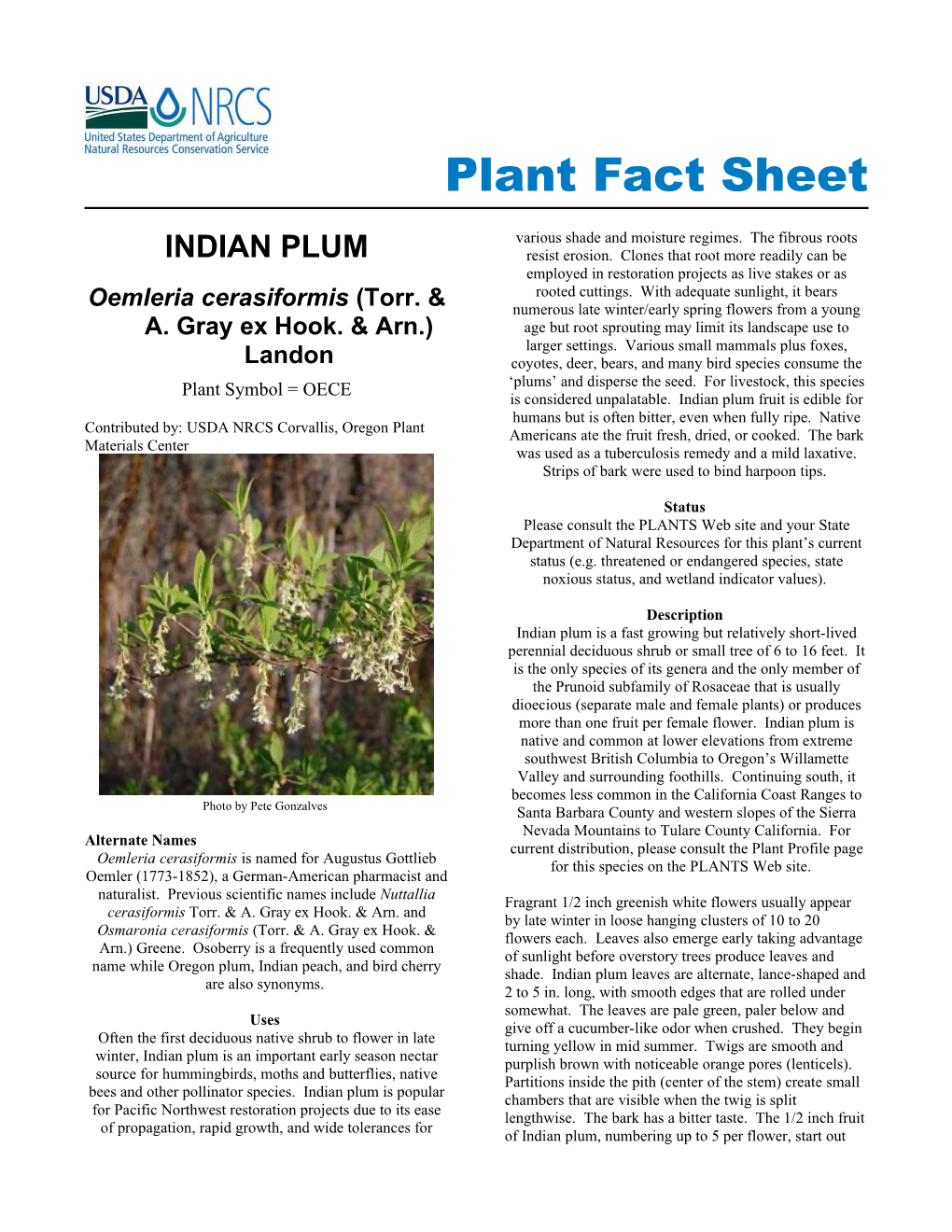Indian Plum Plant Fact Sheet