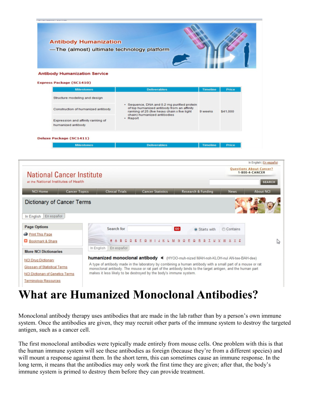 What Are Humanized Monoclonal Antibodies?